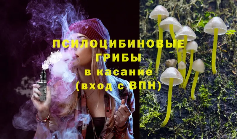 Псилоцибиновые грибы Cubensis  Далматово 